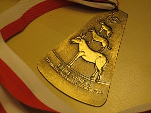 Bremen2012-Medal